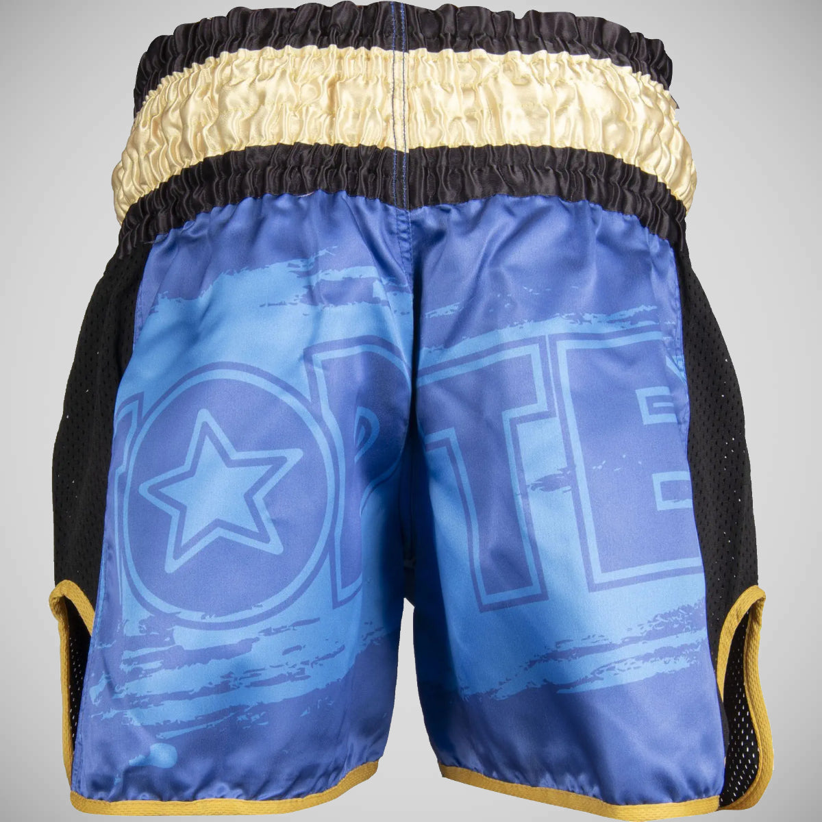Top Ten Power Ink Kickboxing Shorts Blue/Gold at Bytomic Trade and Wholesale