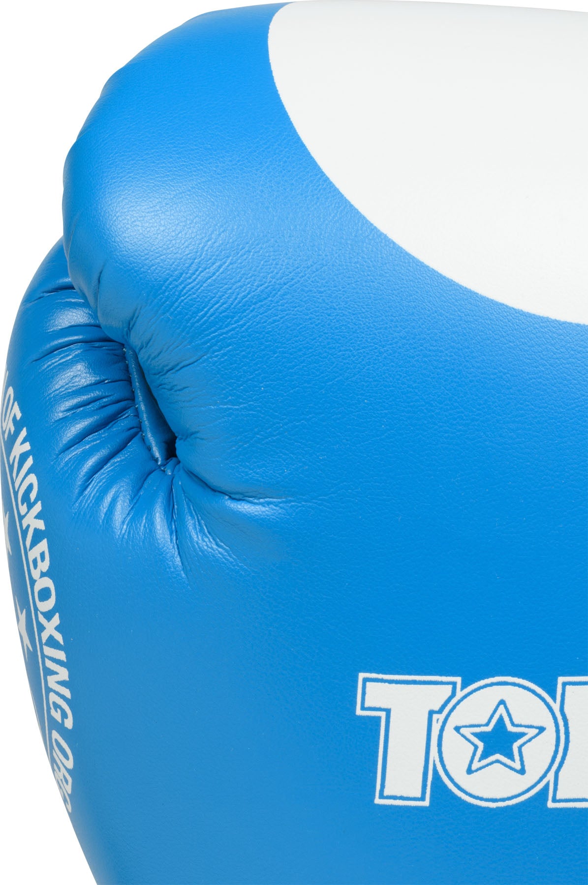 TOP TEN Boxing gloves “WAKO GT” 10 oz at Bytomic Trade and Wholesale