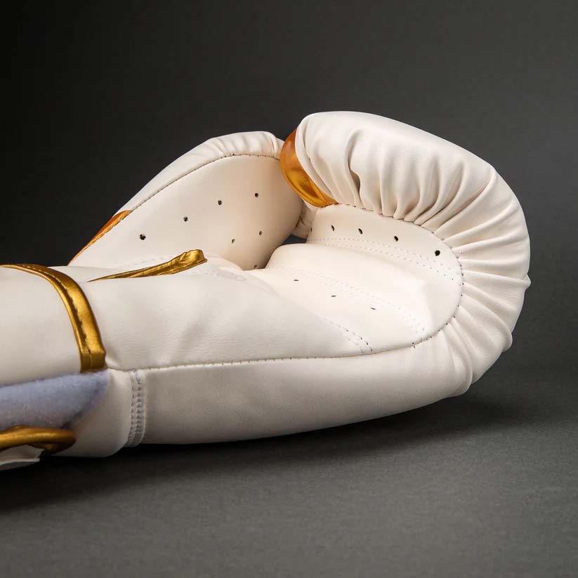 Venum Challenger 2.5 Boxing Gloves White/Gold at Bytomic Trade and Wholesale