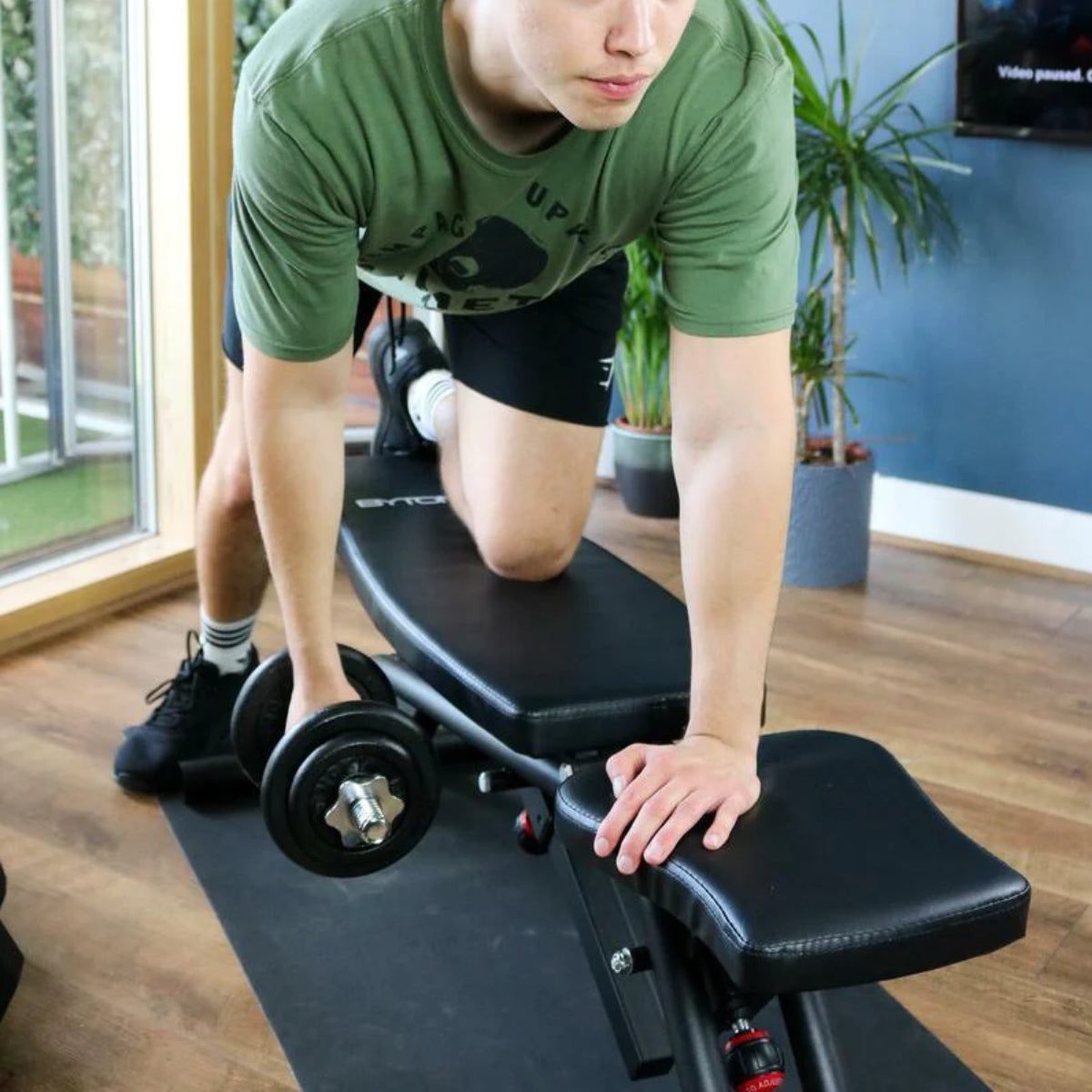 Black Bytomic Adjustable Weight Bench at Bytomic Trade and Wholesale