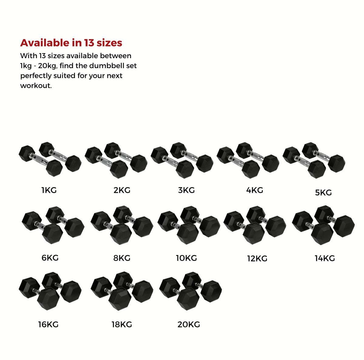Black Bytomic Rubber 12kg Hexagon Dumbbell Set at Bytomic Trade and Wholesale