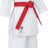 Hayashi Karate Gi “Jingu” white with blue embroidery White - Red 155 cm at Bytomic Trade and Wholesale