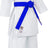 Hayashi Karate Gi “Jingu” white with blue embroidery White - Blue 155 cm at Bytomic Trade and Wholesale