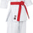 Hayashi Karate Gi “Migoto” white with white embroidery White - White 140 cm at Bytomic Trade and Wholesale