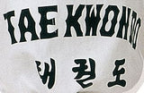 Hayashi TaekwonDo Dobok “Taeguk” (with print on the back) at Bytomic Trade and Wholesale