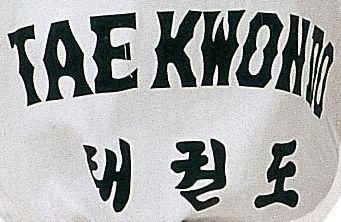 Hayashi TaekwonDo Dobok “Taeguk” (with print on the back) at Bytomic Trade and Wholesale